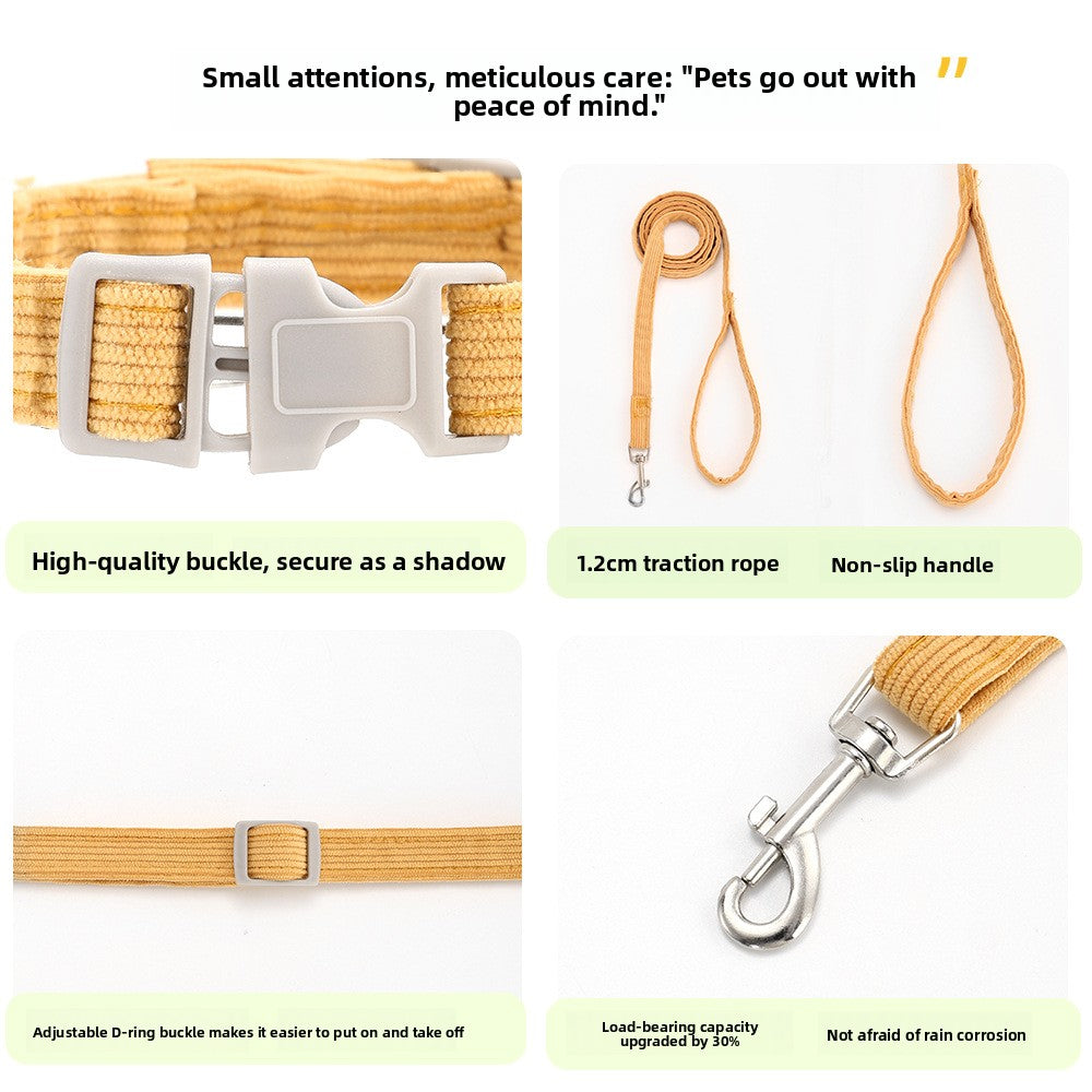 Bee Pet Harness & Leash Set