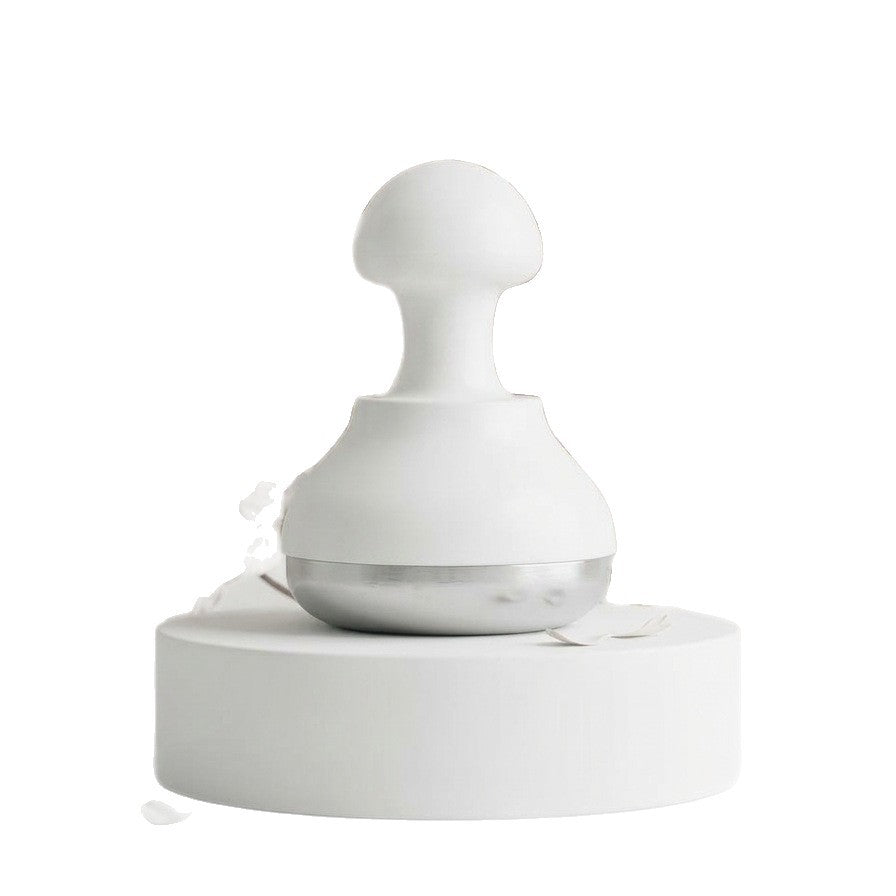 Facial Cooling Massage Tool
