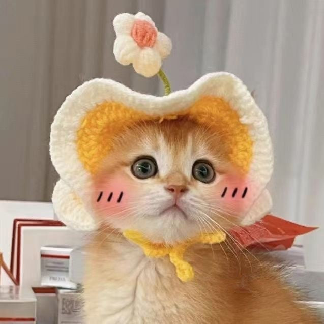 Crochet Pet Hat & Collar Costume Set - image 28