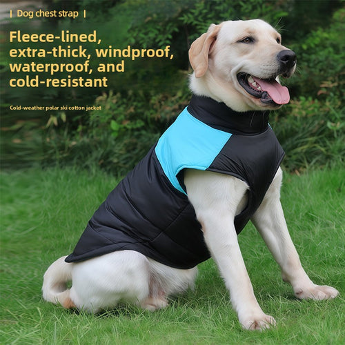 Colour-Block Padded Dog Vest