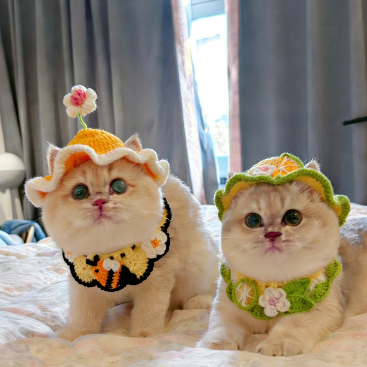 Crochet Pet Hat & Collar Costume Set