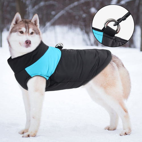 Colour-Block Padded Dog Vest