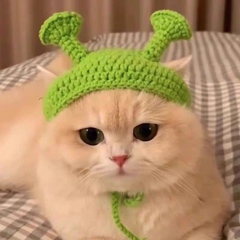 Crochet Pet Hat & Collar Costume Set - image 19