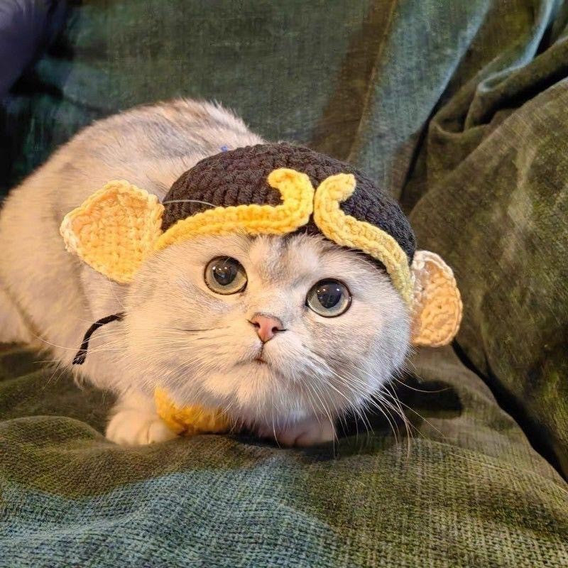 Crochet Pet Hat & Collar Costume Set - image 15