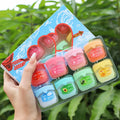 Plant-Based Lip Balm Set - product image 1