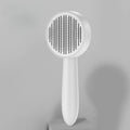 Self-Cleaning Pet Grooming Brush