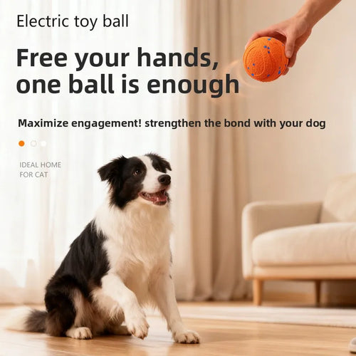 Bite-Resistant Dog Ball