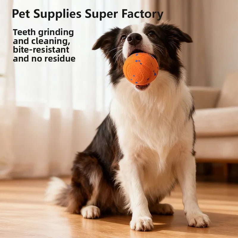 Bite-Resistant Dog Ball