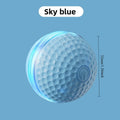 Bite-Resistant Dog Ball