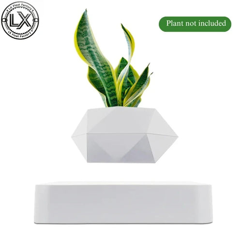 Magnetic Levitating Plant Pot