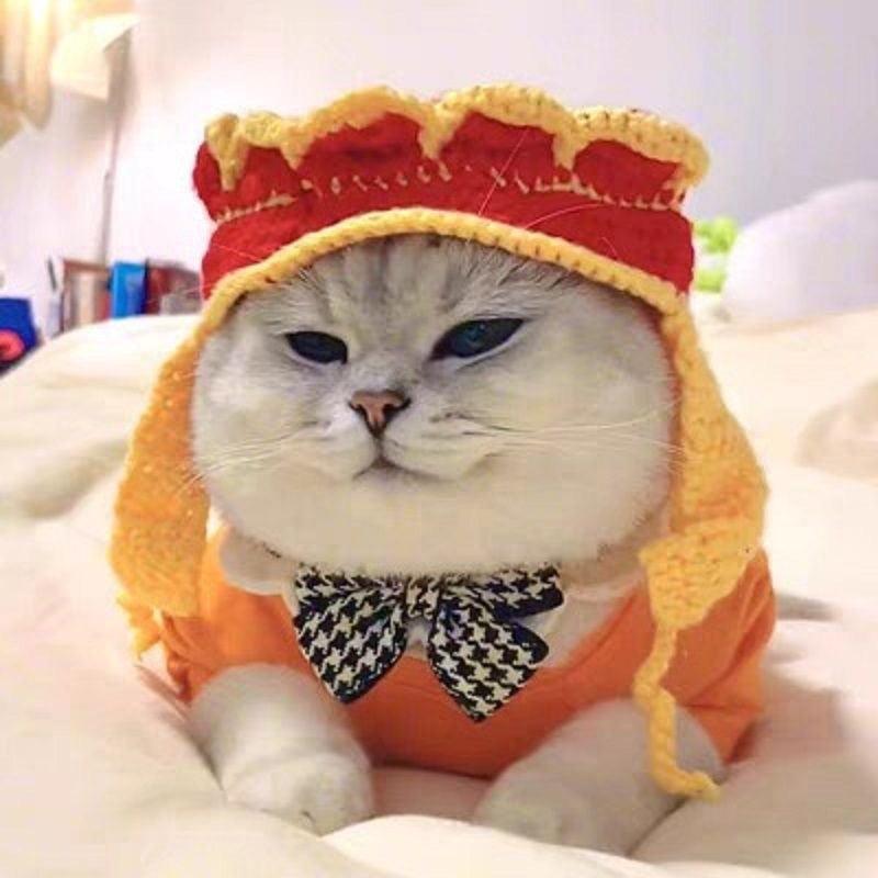 Crochet Pet Hat & Collar Costume Set - image 23