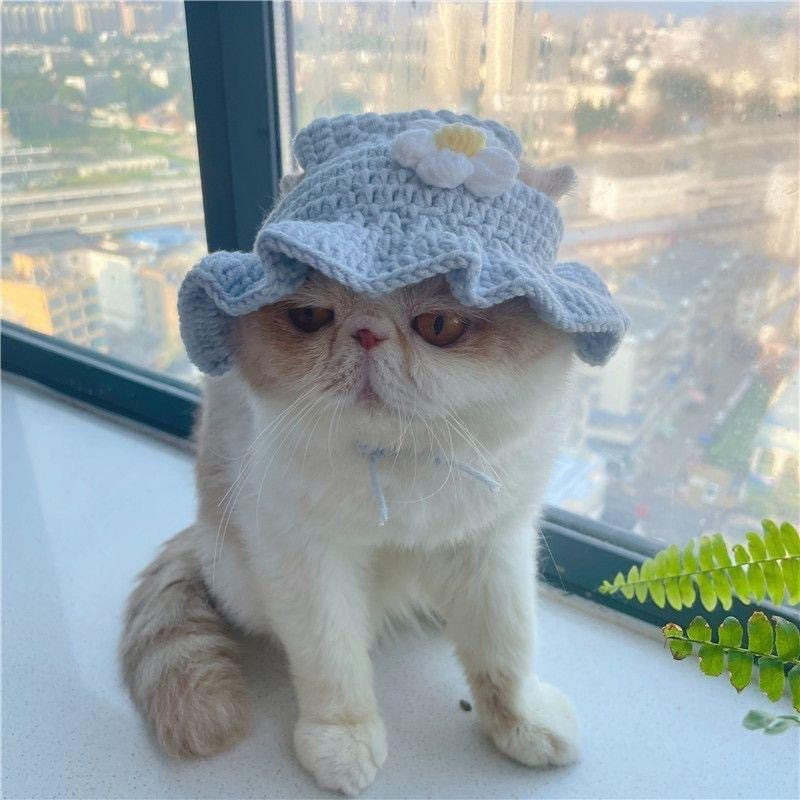 Crochet Pet Hat & Collar Costume Set - image 27