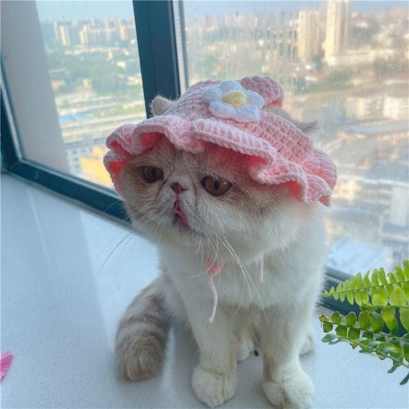 Crochet Pet Hat & Collar Costume Set - product view 24